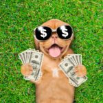 Loudoun County Schools Receive Grant for STEM Education