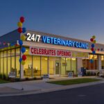 Town Launches Leesburg Celebrates America 250 Webpage